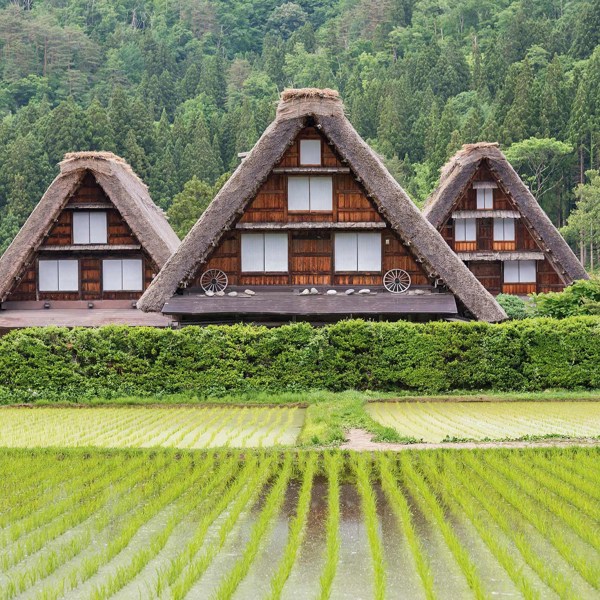 Splendors of Japan with Takayama Festival