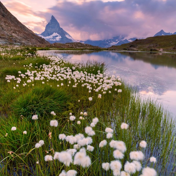 Switzerland and Austria