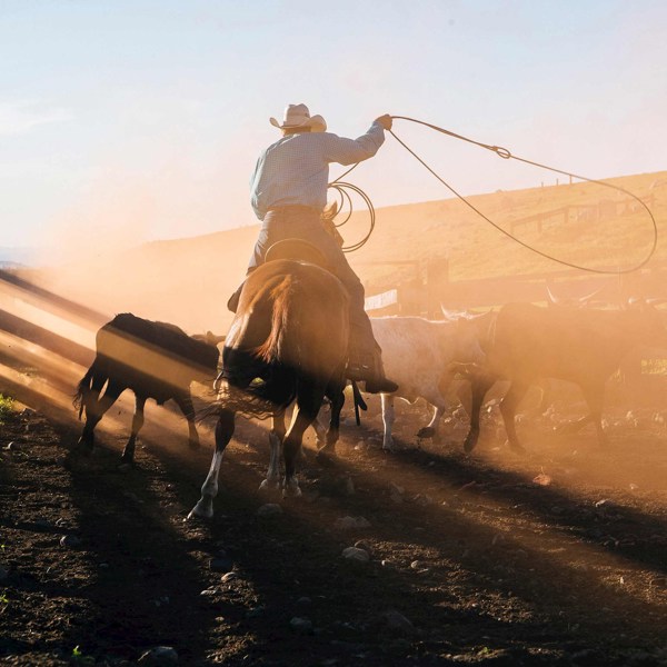 Western Frontiers End Rapid City